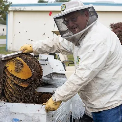 thumbnail for publication: Living with the African Honey Bee
